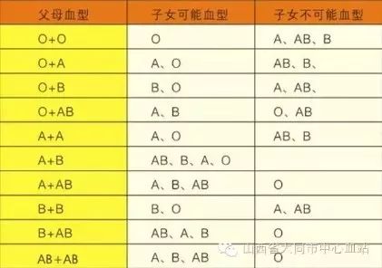 血型親子鑒定對照表,血型親子鑒定對照表與數(shù)據(jù)實施導向策略，經(jīng)典款詳解,數(shù)據(jù)導向設計解析_LT88.85.81