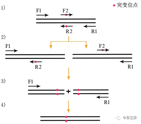 第4601頁