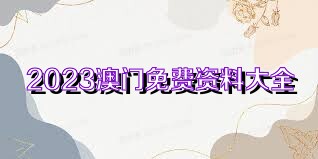 澳門內(nèi)部正版資料2023年資料,澳門內(nèi)部正版資料全面解析與規(guī)劃展望（2023年）,迅速設(shè)計解答方案_擴(kuò)展版24.74.66