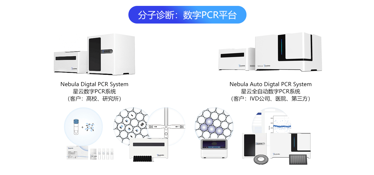 滾筒與新型材料及檢測技術(shù)的關(guān)系,滾筒與新型材料及檢測技術(shù)關(guān)系之探討，實(shí)地?cái)?shù)據(jù)驗(yàn)證策略在游戲版的應(yīng)用,預(yù)測解答解釋定義_網(wǎng)頁版34.91.27