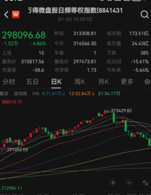 2025年2月3日 第15頁