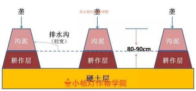 南京北站挖到古墓被停工？官方辟謠,穩(wěn)定性策略解析_P版85.81.59