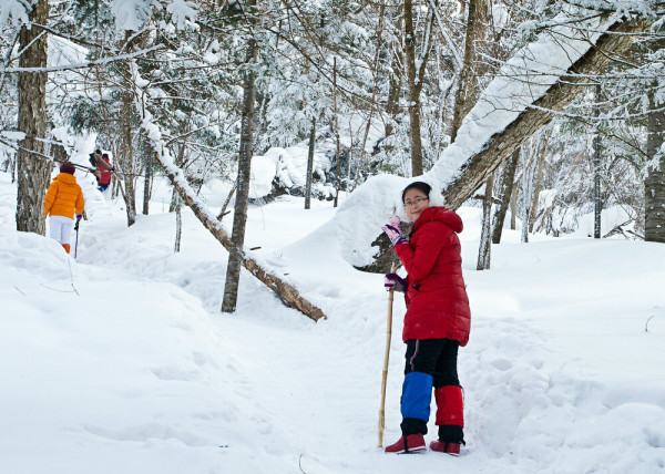 雪鄉(xiāng)景區(qū)大年初三將閉園？不實(shí),創(chuàng)新計(jì)劃執(zhí)行_GM版28.93.79