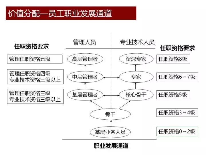 2025年的澳門資料