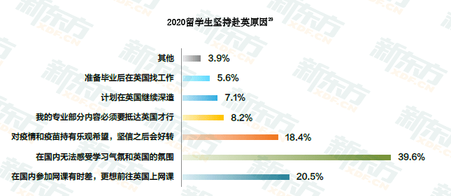 2025年港彩開獎結(jié)果查詢,羅馬尼亞留學生謝娜的中國年