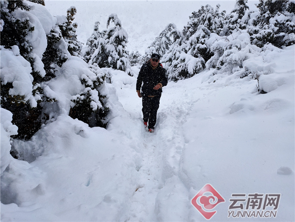 港澳馬會(huì)彩經(jīng)四碼,煙臺(tái)突降鵝毛大雪