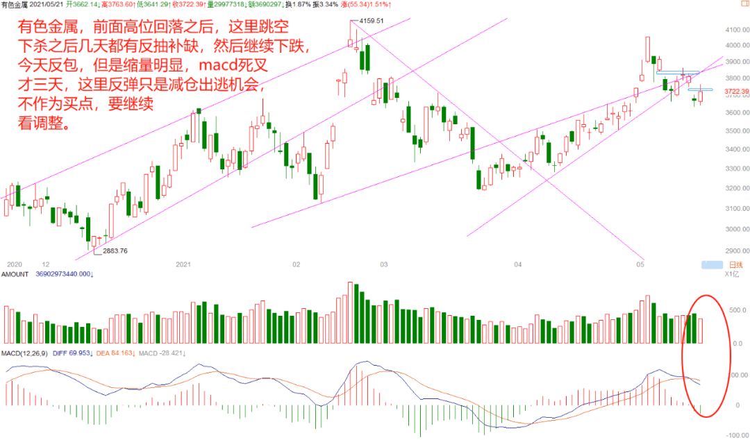 2025新澳門免費(fèi)開獎(jiǎng)結(jié)果查詢,看完唐探1900在美國(guó)市政廳蹦迪