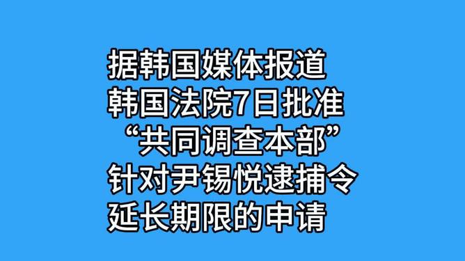 雨天打一生肖動物,韓國法院批準(zhǔn)尹錫悅逮捕令