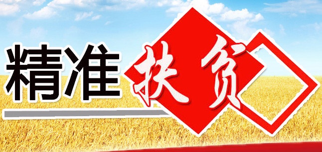 澳門精準(zhǔn)資料免費公開2025,國臺辦：歡迎臺灣鄉(xiāng)親尋根謁祖