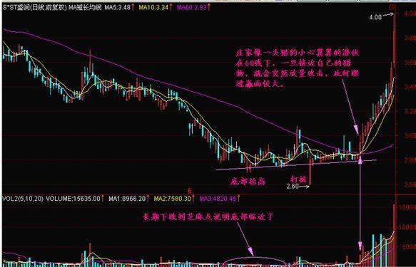 新澳門精準(zhǔn)的資料大全我,專家：不建議普通投資者下場買賣股票