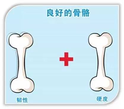 二四六玄機(jī)圖資料大全,骨折后要多喝骨頭湯？假