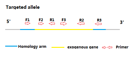 運(yùn)勢(shì)測(cè)算2025年每月運(yùn)勢(shì)屬鼠,中國(guó)對(duì)福島海水首次獨(dú)立取樣檢測(cè)