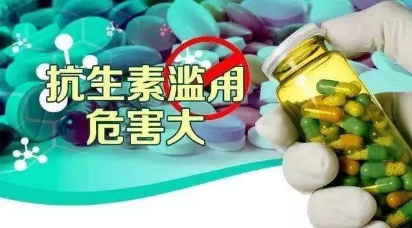 在森林麋了鹿 第18頁