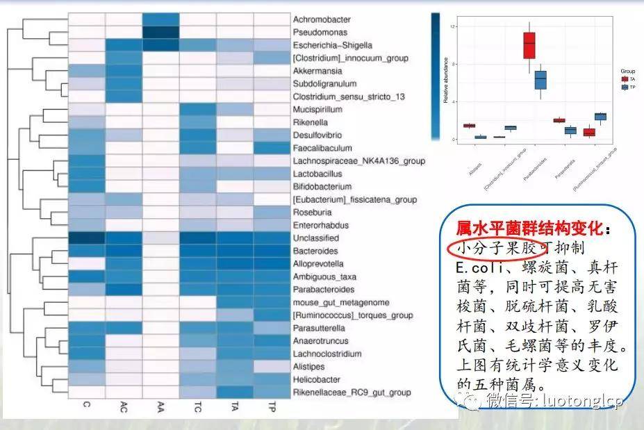 4949澳門開獎(jiǎng)結(jié)果查詢,人體最大免疫器官竟是它