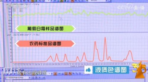 2025年生肖運勢運程表,因財務(wù)造假 財政部處罰百余人