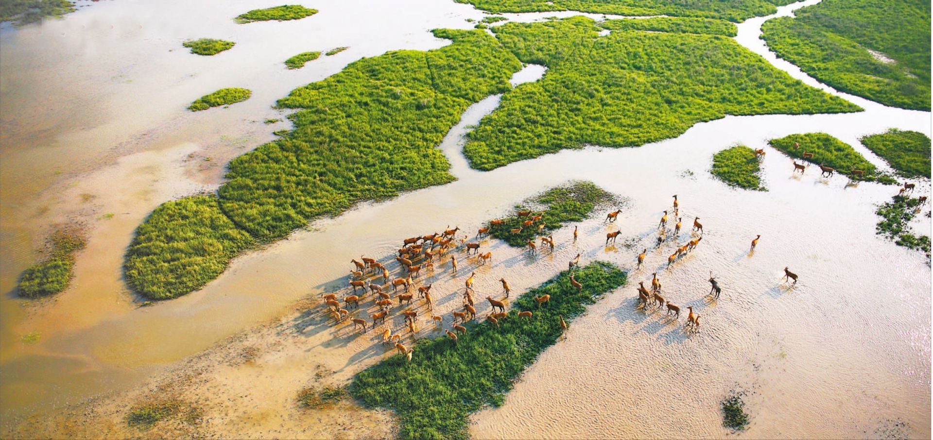 九點(diǎn)半論壇澳門的開獎記錄,新疆巴州龍駒濕地現(xiàn)“冰荷葉”景觀