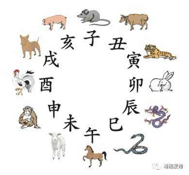 2025年12生肖每月運(yùn)勢完整版周公解夢,拜登最后一次以總統(tǒng)身份離開空軍一號(hào)